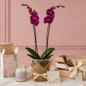 Kit floral con Orquideas dos tallos