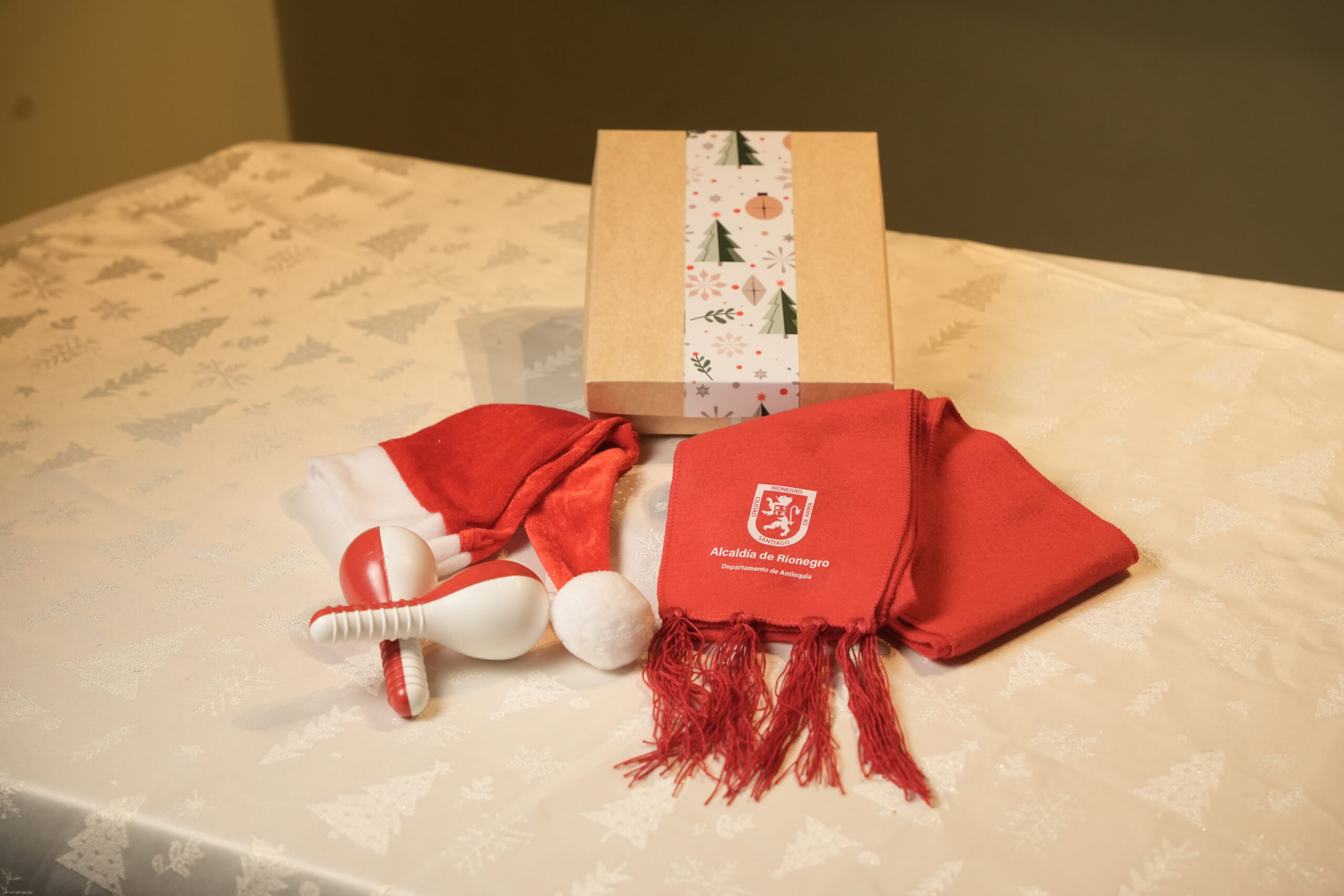 Bienvenida la navidad gorro2